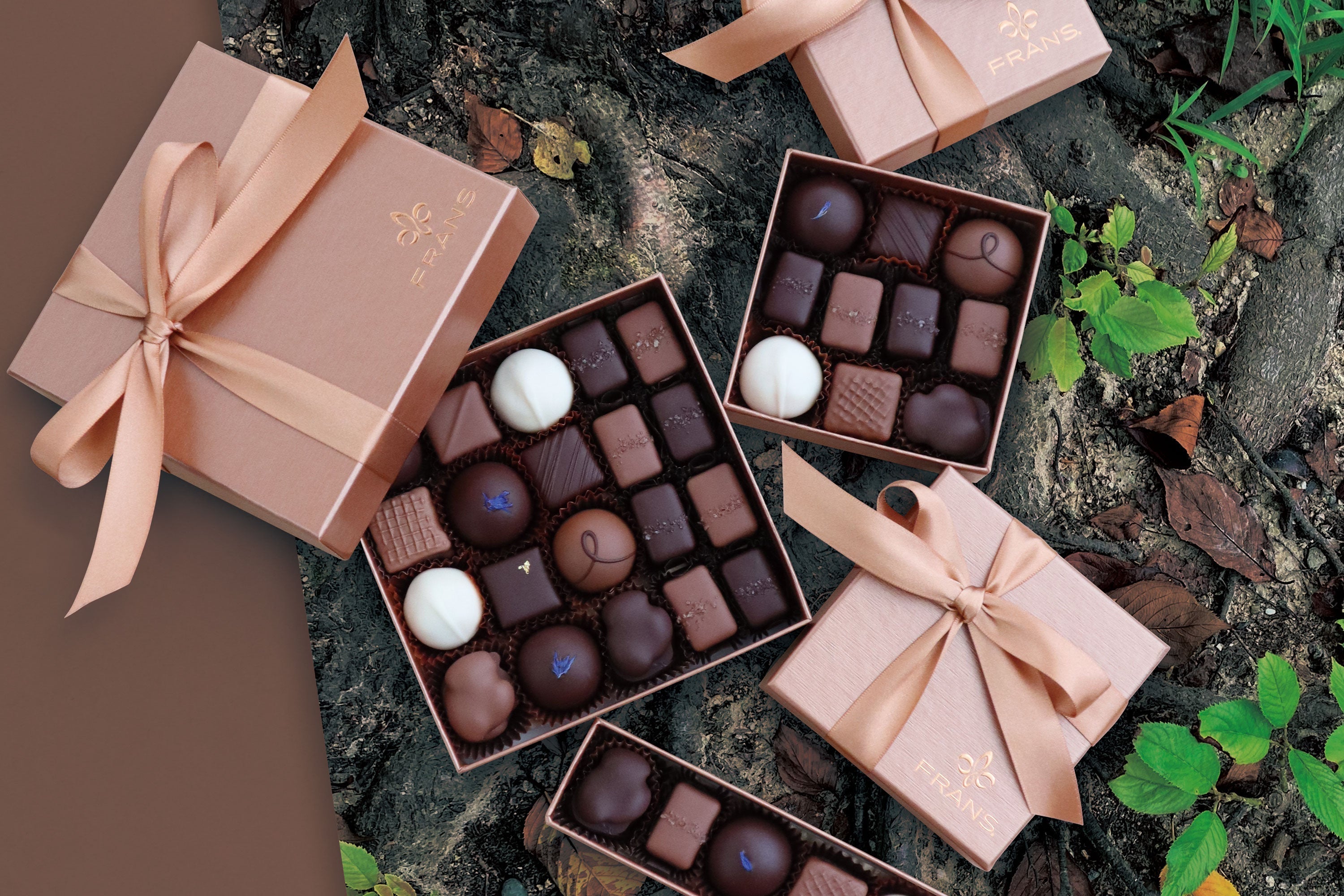 AUTUMN ASSORTMENTS 発売