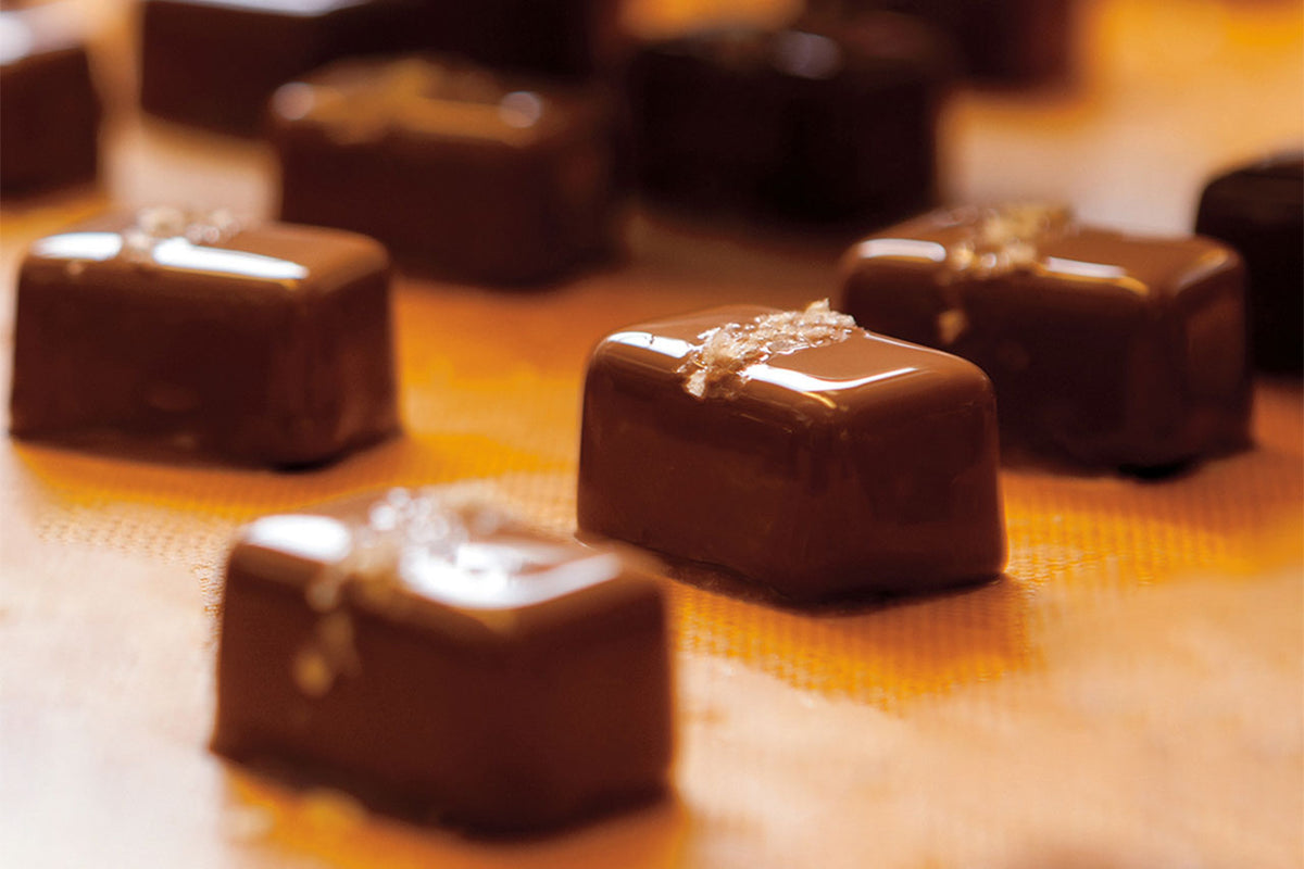 マオジェルチョコマオチョコキャラメル3つセット