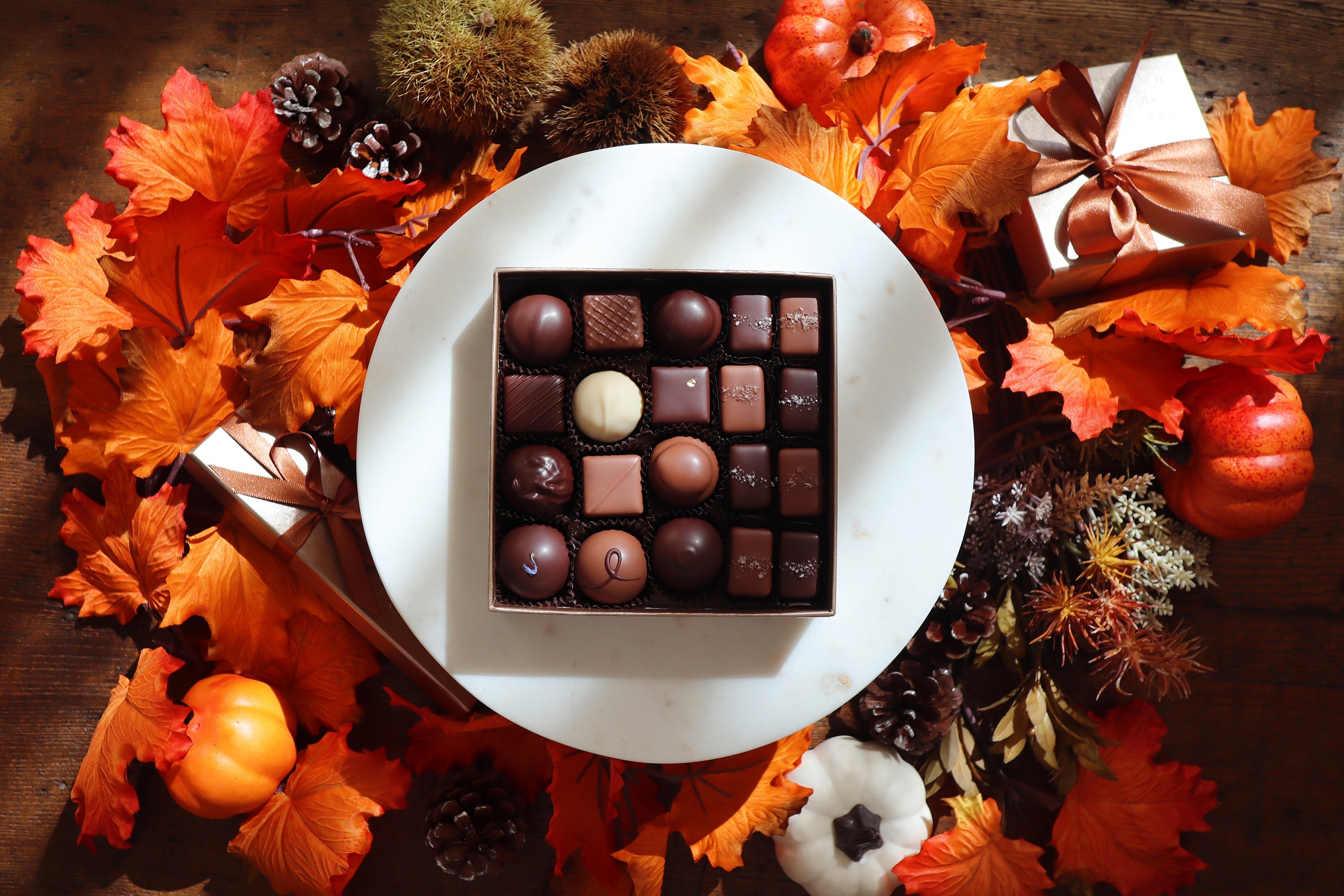 2022 AUTUMN ASSORTMENTS Ⅱ 発売