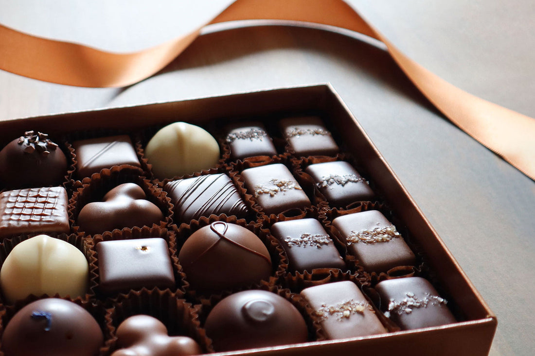 2022 AUTUMN ASSORTMENTS 発売