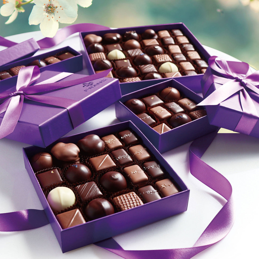 2022 SPRING ASSORTMENTS 発売