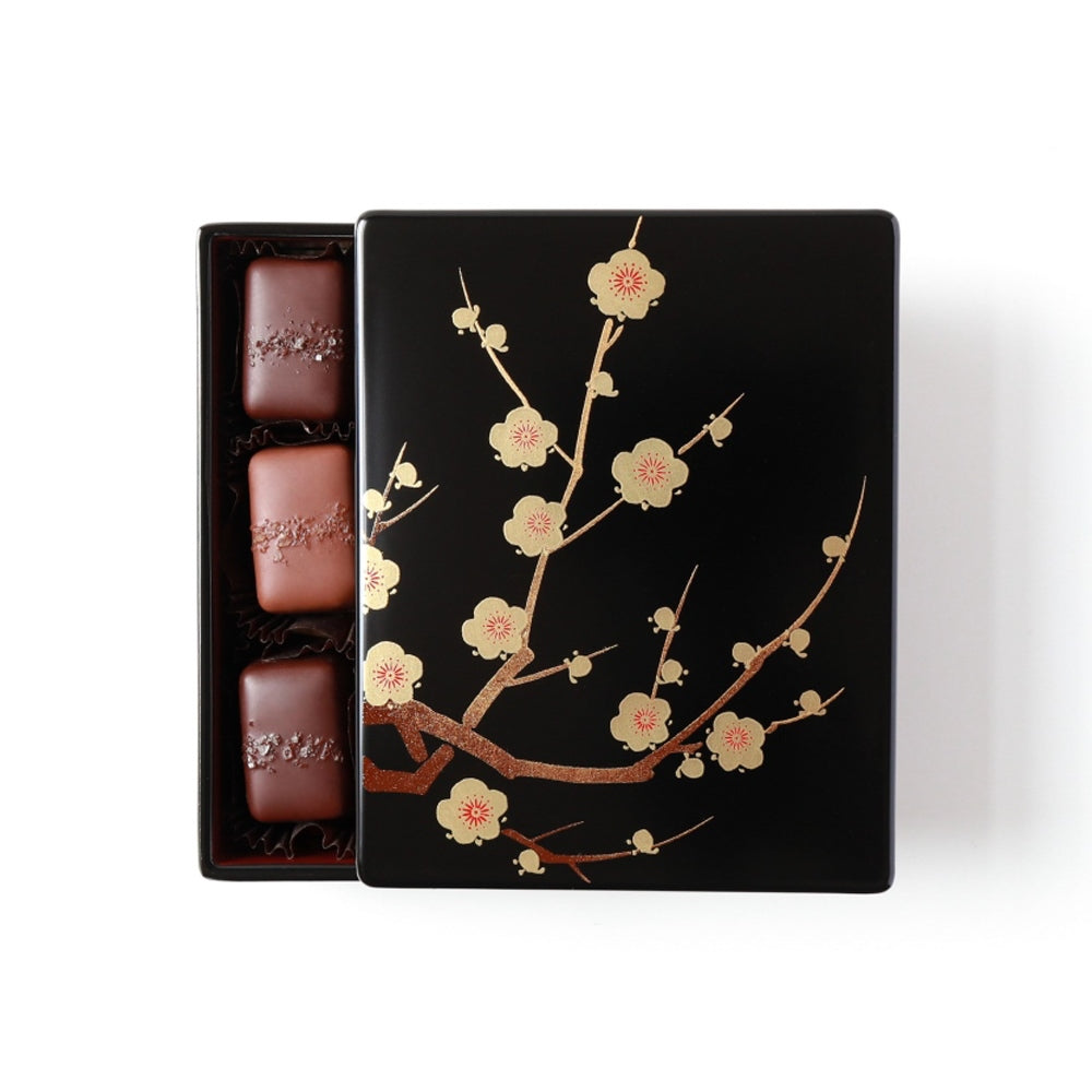 【漆BOX】ソルトキャラメルアソートメント 9個入