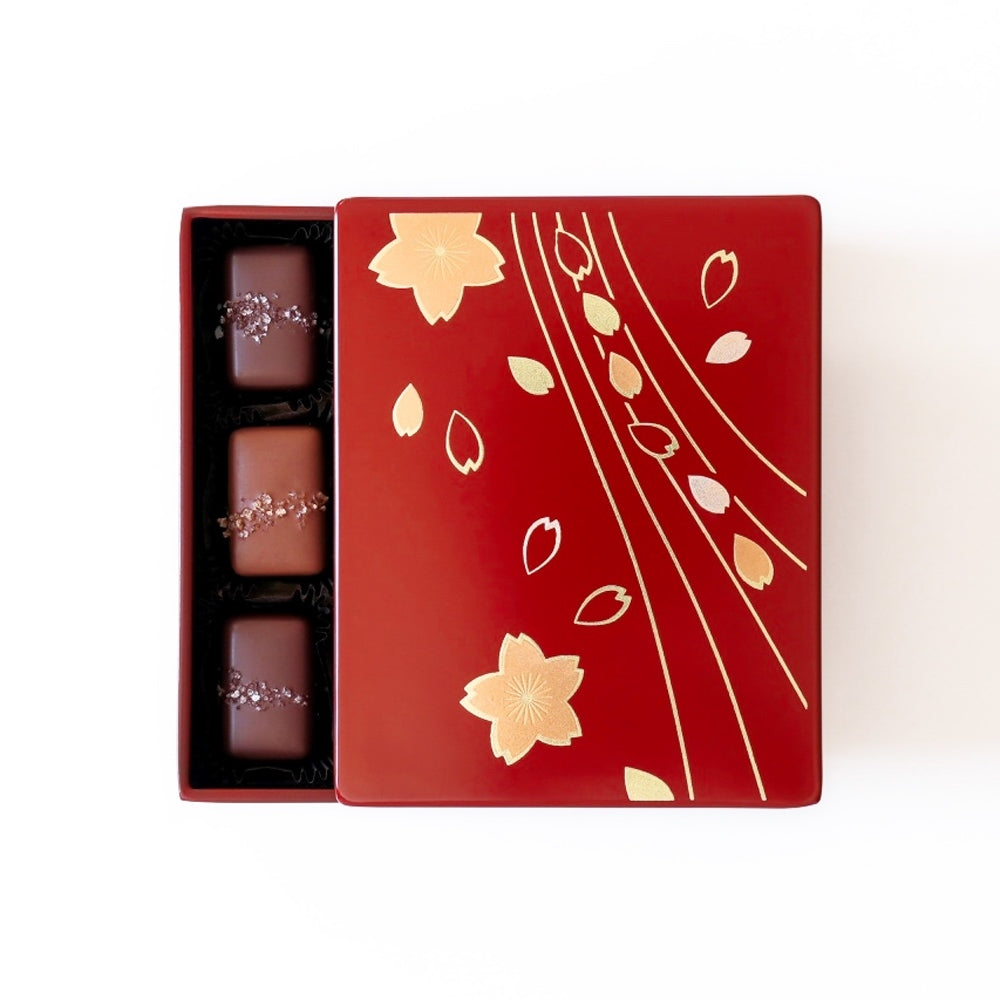 【漆BOX】ソルトキャラメルアソートメント 9個入